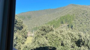 A mountain landscape with dense forest and a clear sky.