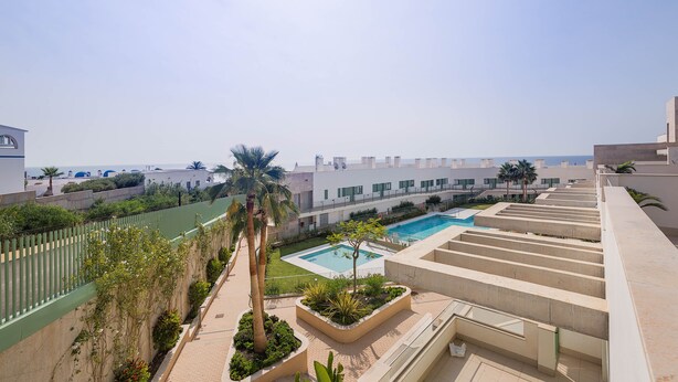 A rooftop pool area with a clear view of the surrounding buildings and a palm tree.
