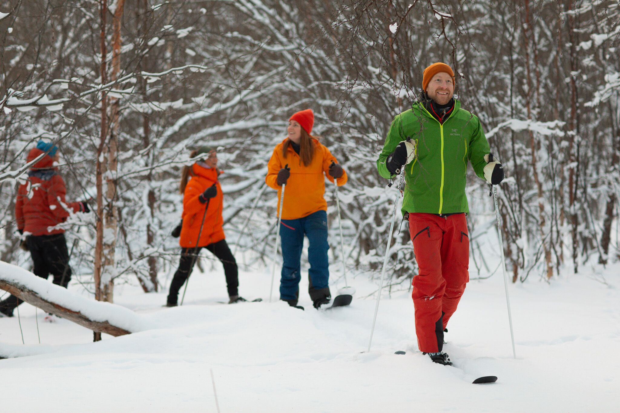 Eine Gruppe von Personen langlauft in einem verschneiten Wald.