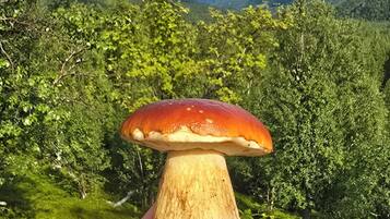 A hand holding a mushroom with a forest and mountains in the background.