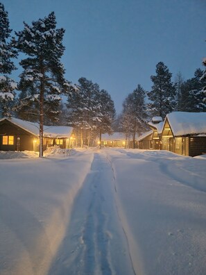 Signature dubbelrum - 2 enkelsängar - icke-rökare - utsikt mot trädgården | Utsikt från rummet