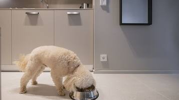 Un petit chien blanc et duveteux mange dans un bol en métal, posé sur un sol carrelé dans une cuisine moderne aux armoires beiges et ornée d’un tableau encadré au mur.