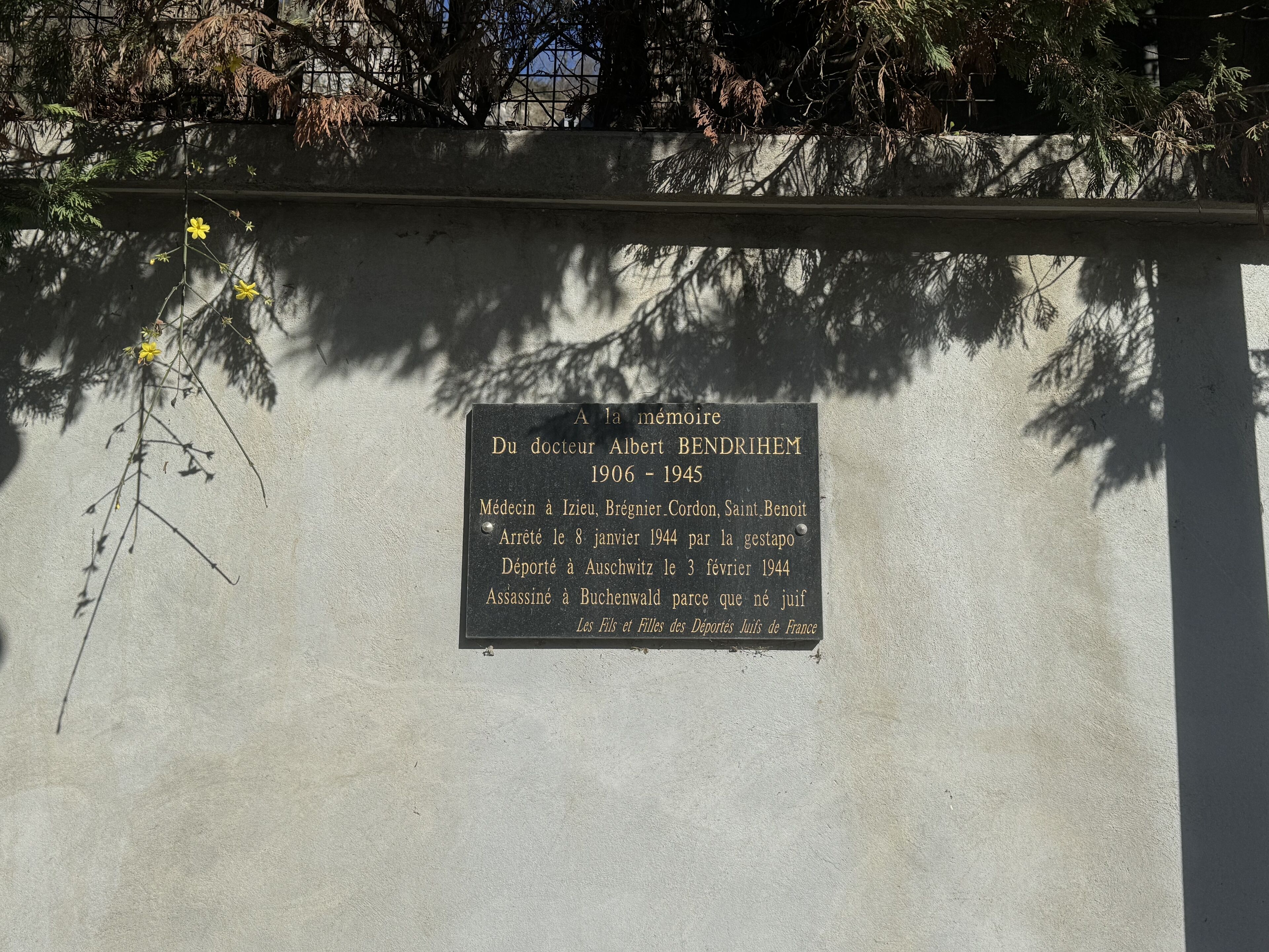 A memorial plaque on a wall with text in French, surrounded by shadows of trees.