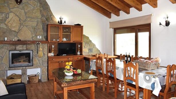 Un coin repas rustique avec une cheminée en pierre, des meubles en bois et un téléviseur.