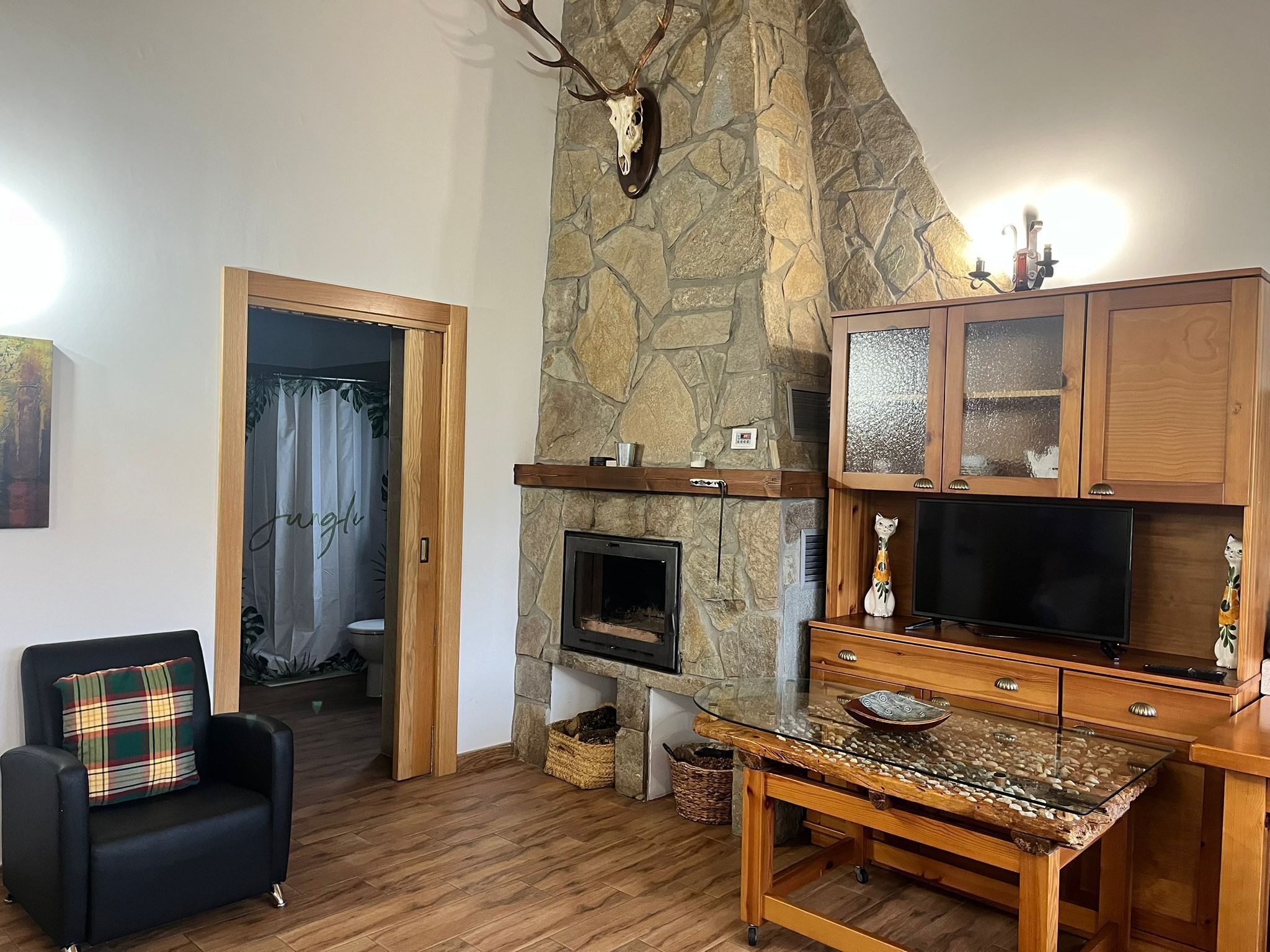 Huis | Woonruimte | Flatscreentelevisie