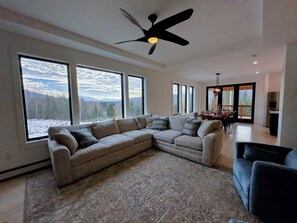 TV, fireplace, books
