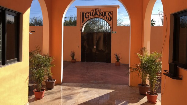 Una entrada de edificio con un cartel que dice "FRES. GUANAS" y un portón negro. Hay plantas en macetas a ambos lados de la entrada.