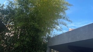 A flagpole with a flag, a tree, and a building in the background. - The Swedish Villa with heated interior pool (Perpignan)