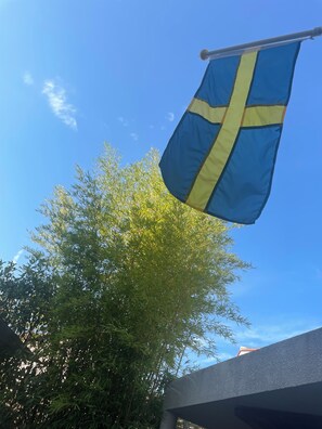 Terrain de l’hébergement 