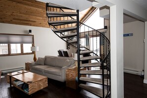 TV connectée, cheminée, lecteur de DVD, livres