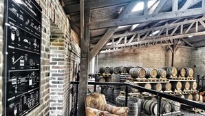 Een magazijn met houten vaten op pallets, een lederen fauteuil en een gedetailleerd infografische overzicht op de muur.