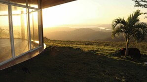 A room with large windows overlooking a grassy landscape with a palm tree and mountains.