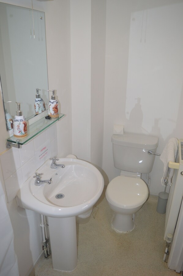 A bathroom with a sink, toilet, and a glass shelf with toiletries. - The Queen Victoria (King's Lynn)