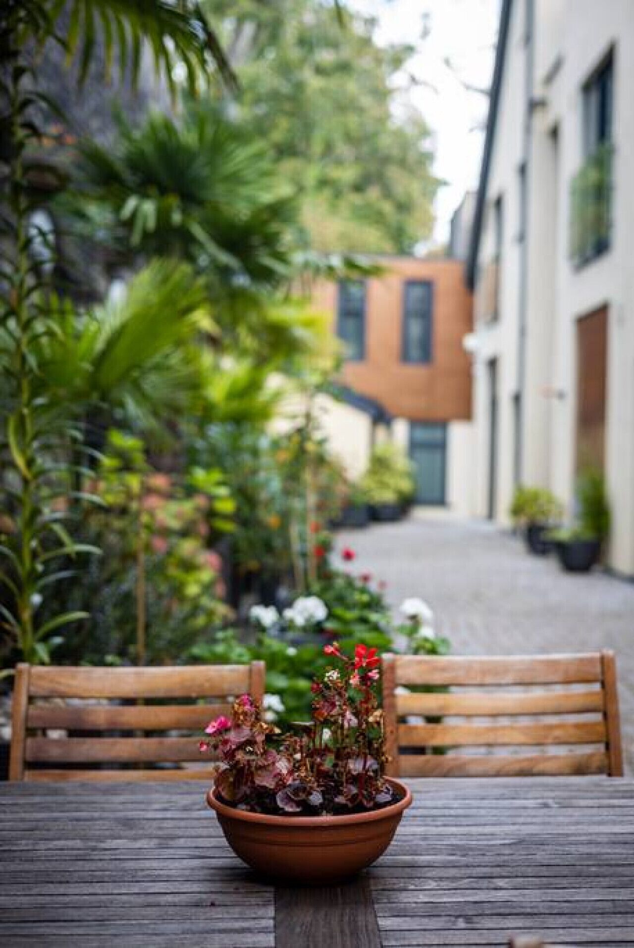 テラス / パティオ