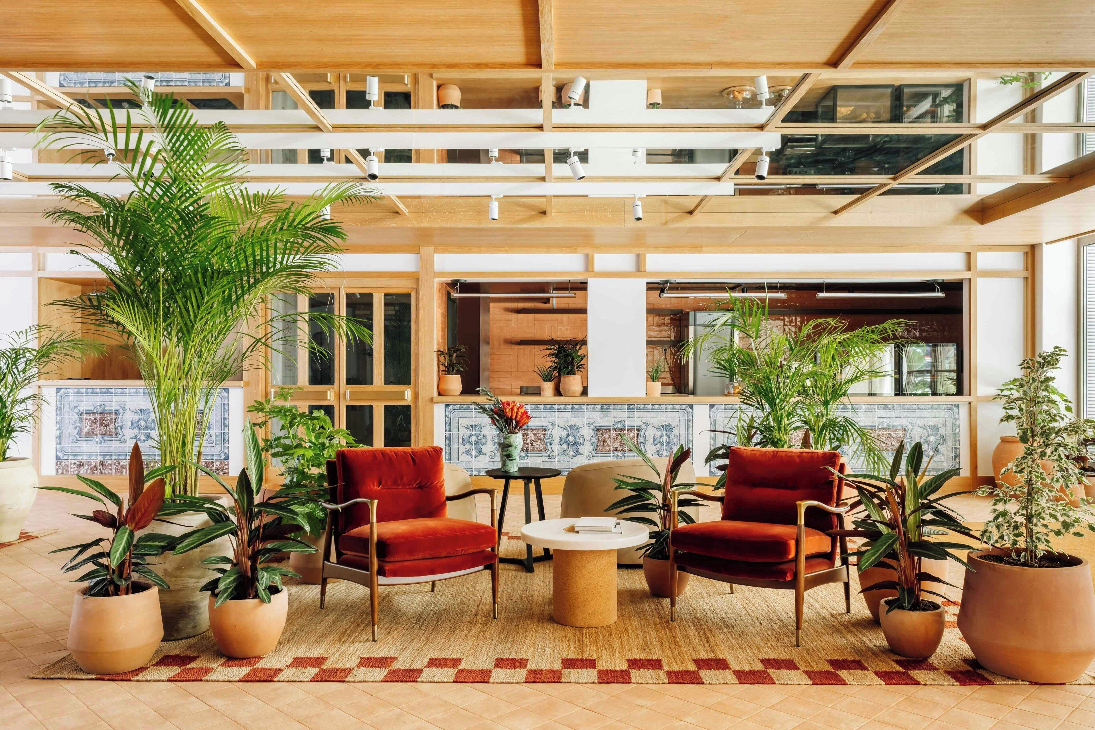 Foto - Locke de Santa Joana