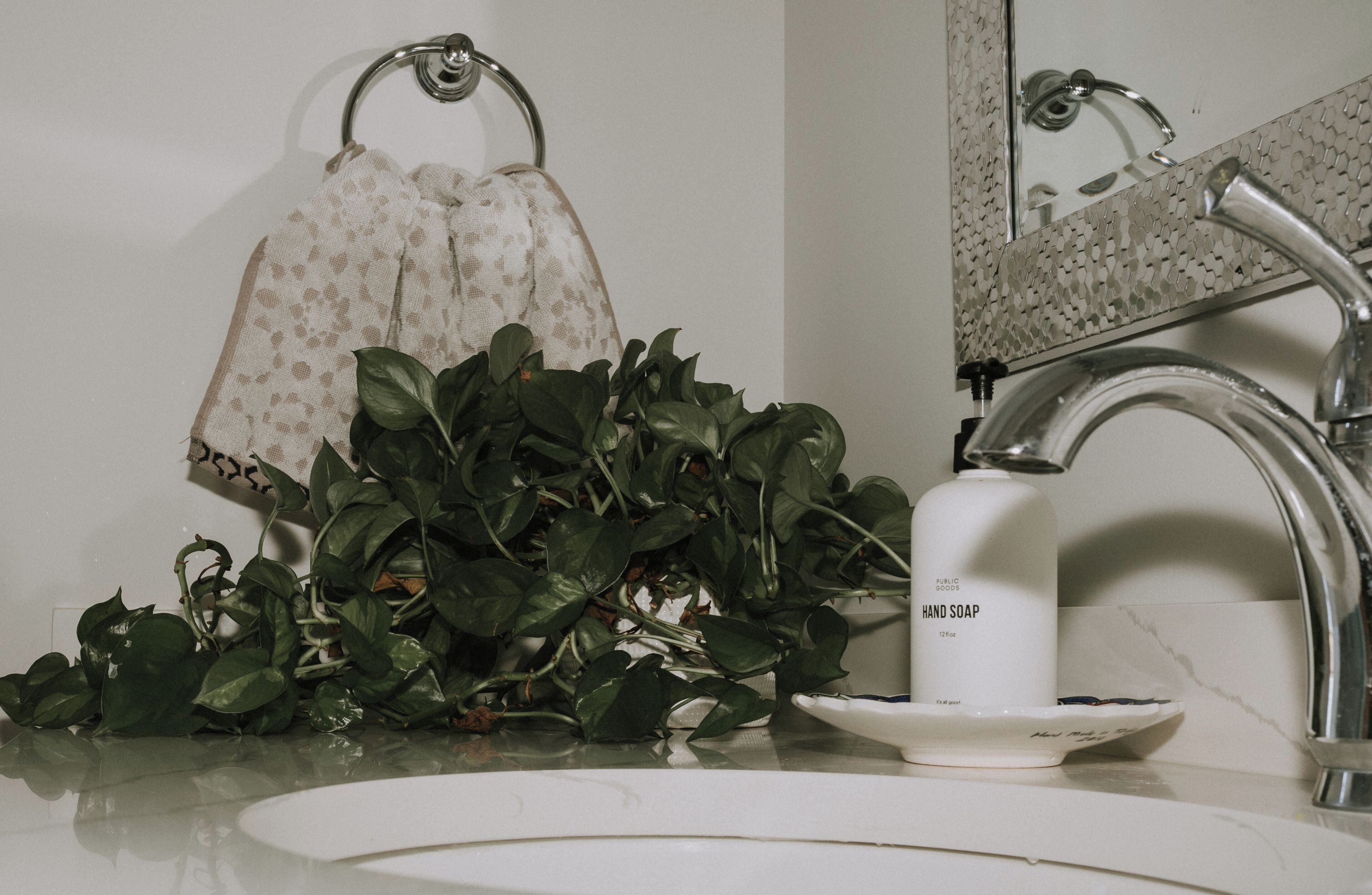 Un baño con un lavamanos blanco, un espejo con un reverso texturizado y una planta en maceta sobre la encimera.