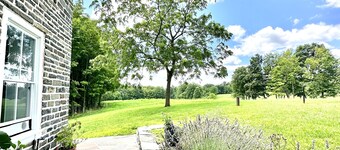 Waterfront catskills farmstay in a 19th Century historic home on an Alpaca Farm 