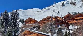 Alpage Immo Location Service