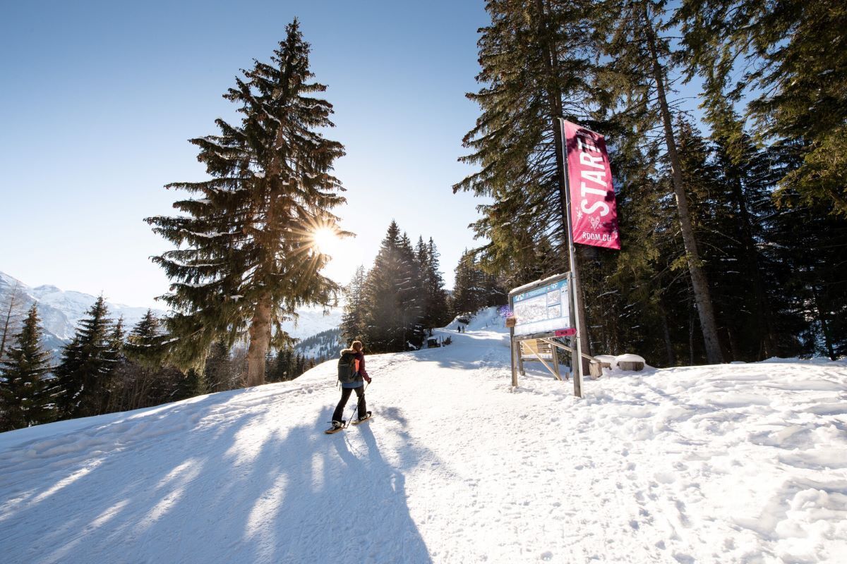 Paseos en raquetas de nieve