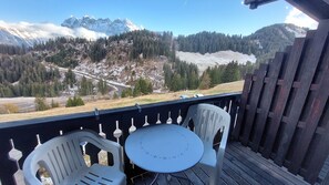 Terrace/patio - Alpage Immo Location Service (Val d'Illiez)