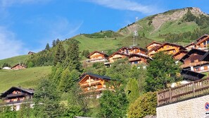 Exterior - Alpage Immo Location Service (Val d'Illiez)
