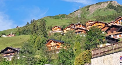 Alpage Immo Location Service