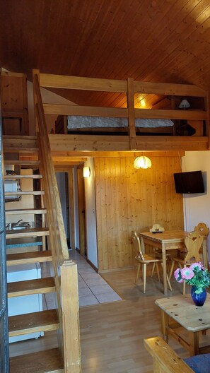 Basic Studio | Living area | Books - Alpage Immo Location Service (Val d'Illiez)