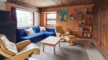 TV, fireplace, DVD player, books