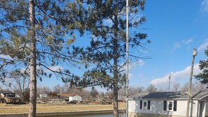 A grassy area with a small building, a pond, and trees. - Cozy Cottage with water access, Newly remodeled  (Celina)