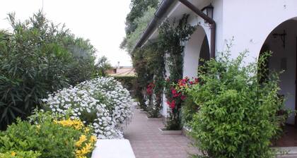 Beautiful villa just minutes from the sea