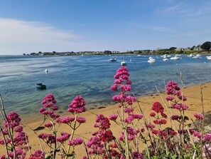 Una playa con flores rosadas al frente y barcos en el agua al fondo.