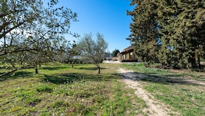 A rural landscape with a dirt path leading to a wooden building. - Gîte du Mas Saint Paul - Maison avec piscine (Travaillan)