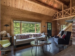 Smart TV, fireplace - Daniel Boone meets Mid Century Modern Retreat
 (Killingworth)