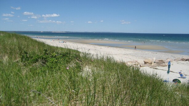 A beach with a sandy shore, some people, and a clear sky. - 217 N Shore Blvd (Sandwich)