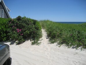 On the beach