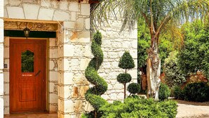 A stone building with a wooden door and a well-maintained garden with various shrubs and a palm tree.