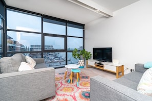 TV, DVD player, books