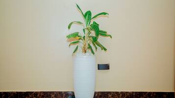 Una planta en maceta dentro de una jardinera blanca alta y acanalada, frente a una pared lisa.