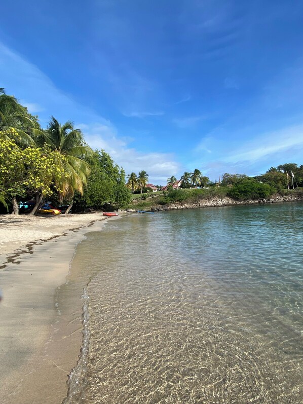 Una playa con agua cristalina, palmeras y casas al fondo.