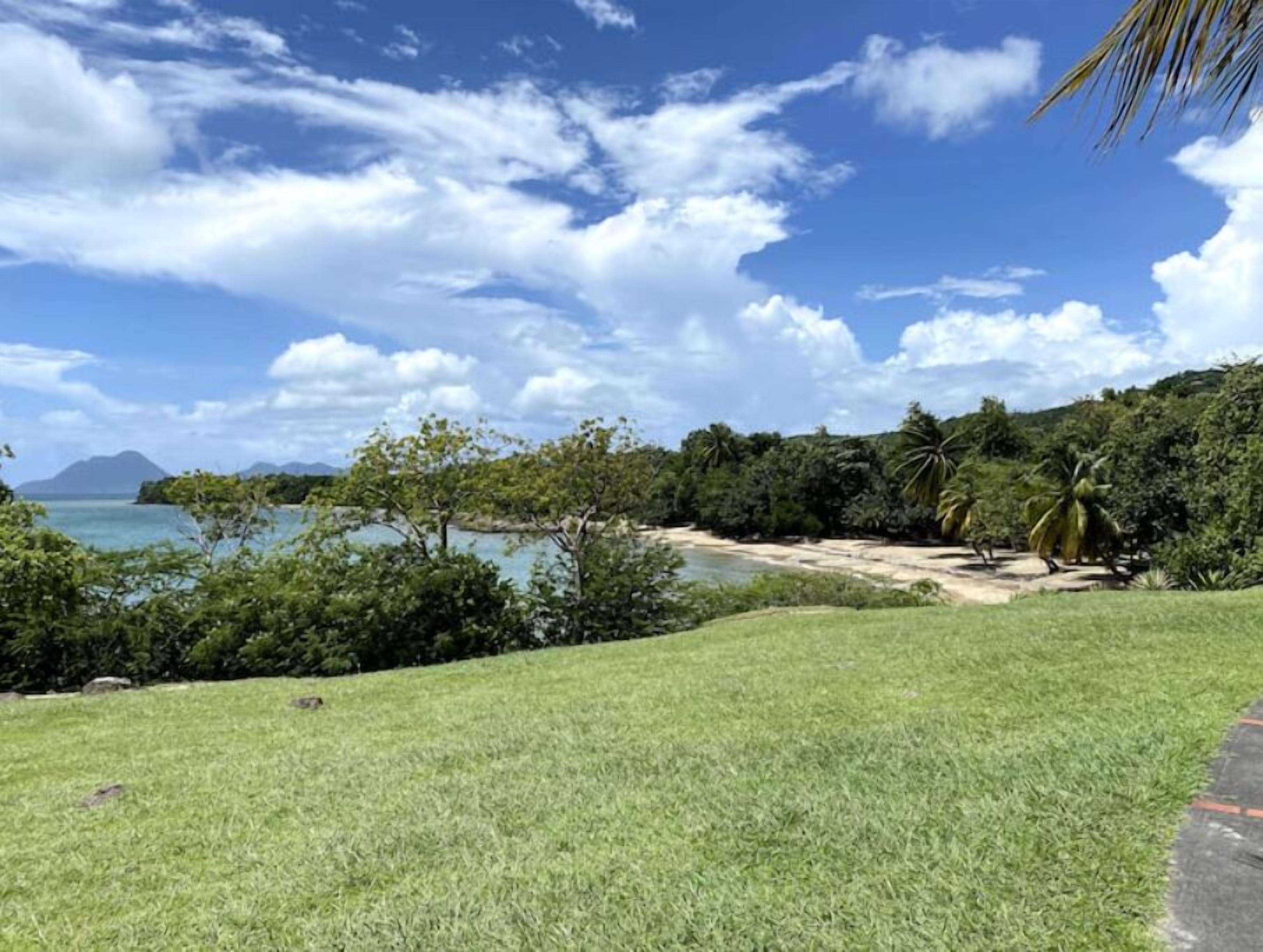 Zona verde con vista a una playa y una extensión de agua.