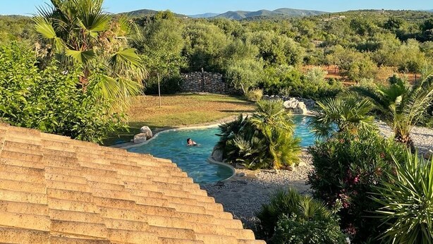 Una piscina rodeada de exuberante vegetación y una escalera de piedra que lleva hacia ella.