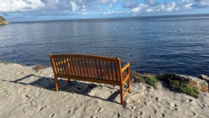 Un banco de madera en una playa arenosa, con vista al mar y aves.