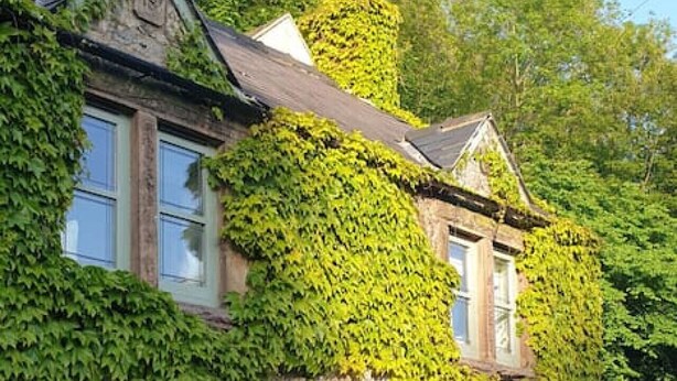 Una casa in pietra con una porta verde, muri ricoperti d'edera e un vialetto sterrato.