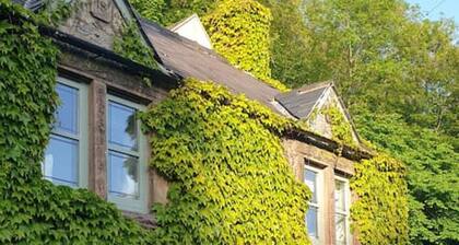 Enchanting Renovated Cottage with EV - Witchnest