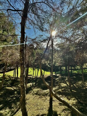 Miscellaneous - Hermosa Habitacion Family Multiple En Santa Elena (Antioquia)