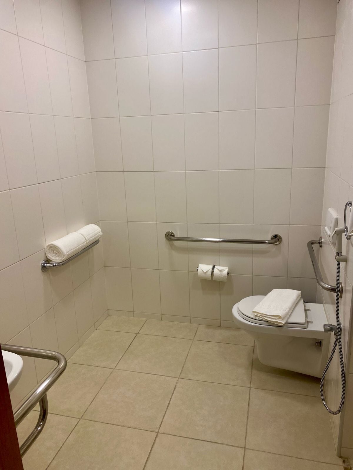 A small, clean bathroom with white tiles, a toilet, a handrail, and a shower with a handheld showerhead.
