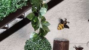 Een dakterras met potplanten en decoratieve bijbeeldjes.