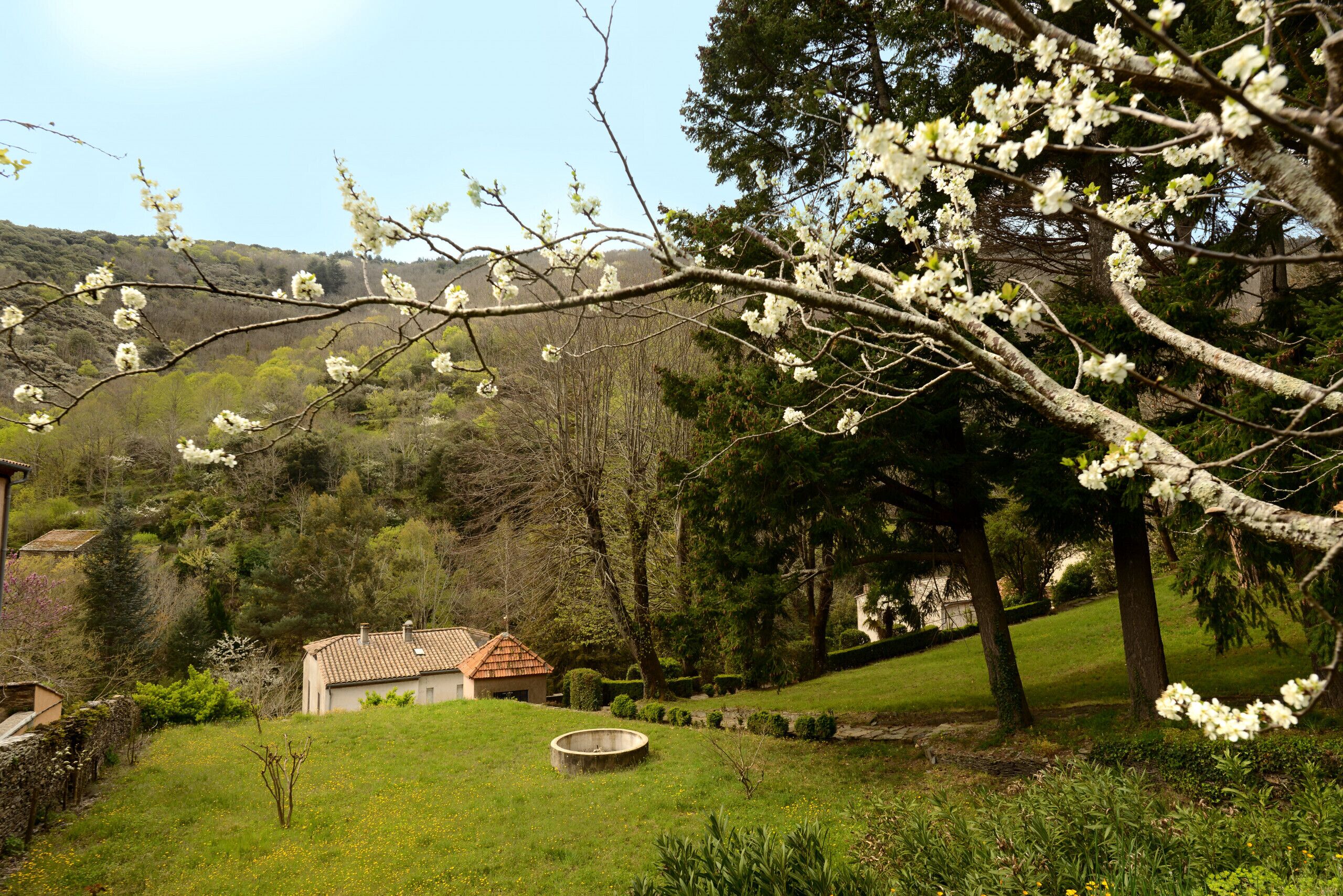 Área da propriedade