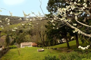 Property grounds - LE JARDIN SUR LE TOIT (Mas-Cabardès)