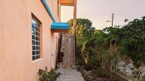 Un estrecho sendero de piedra que conduce a un edificio con techo azul y una ventana de diseño a cuadrícula.